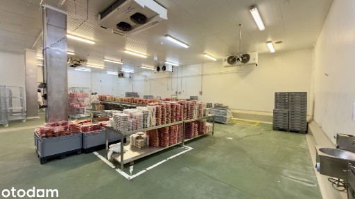 Hala 450 m² z CHŁODNIĄ | Rampa | HACCP | Parking TIR/BUS | A4/S1