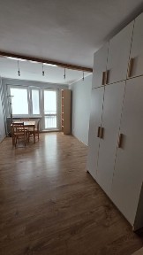 Wielkopolskie, Poznań, Winogrady