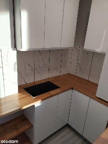Kawalerka Opole Wynajmę