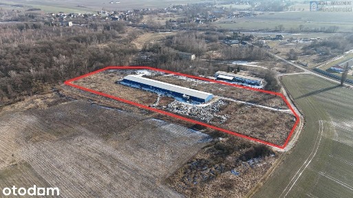Piaskowa, Rzeczyce, Rudziniec, gliwicki, śląskie