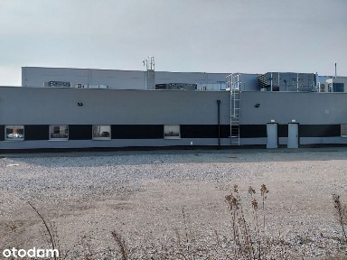 Wolnostojąca hala produkcyjna/magazyn