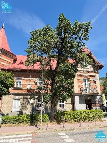 Mieszkanie na sprzedaż, Krynica-Zdrój, 2 pokoje