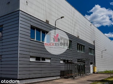 Magazyn 15 tyś. m2 Słubice - od zaraz - 0% prow.