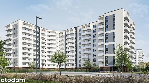 Wołowa, Politechniczna, Polesie, Łódź, łódzkie