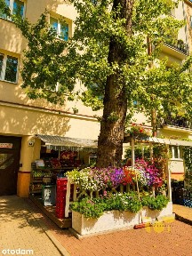 Stara Ochota Kamienica Wynajem