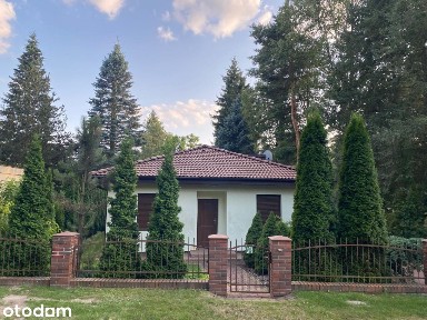 Dom nad jeziorem do wynajęcia/Puszcza Zielonka