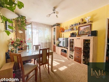 Ustawne 2 oddzielne pokoje, balkon, widne, obok WUM i parki : )
