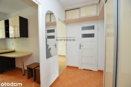 3 osobne pok.cz.umeblow.balkon,cegła,Kołłątaja
