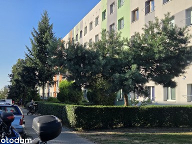 Małe, kompaktowe 2 pokoje, do remontu/odświeżenia