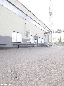 Hala na wynajem, Wrocław