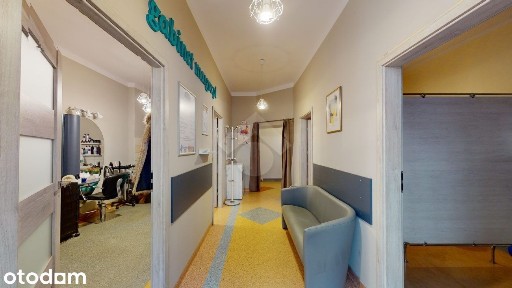 Lokal w centrum | Duże witryny | Wejście z ulicy