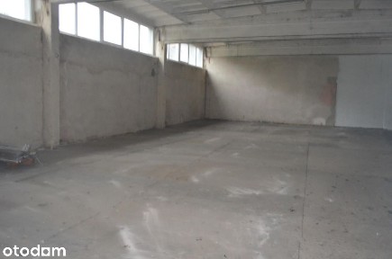 270 m2 plus rampa centrum Szczecina