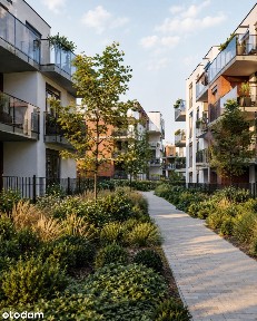 Gotowe 2 pokoje | zachodni balkon | winda