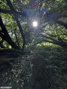 12 Hektarów Prywatnego Raju - Rezydencja, SPA lub Dom Weselny