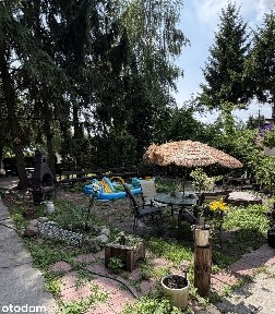 Całoroczny dom przy lesie - okolice Sobolewa, powiat garwoliński