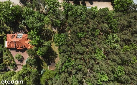 Prywatna Rezydencja na Działce 5355 m² Starodrzew