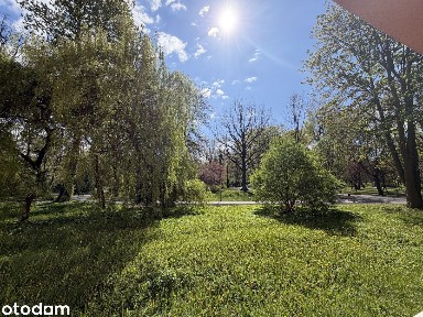 Mieszkanie z widokiem na Park Kościuszki Brynów Katowice