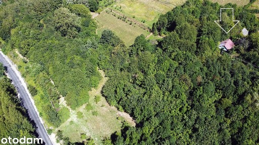 Siedlisko: dom i stodoła / 64 ary [6400 m2] ziemi na uboczu
