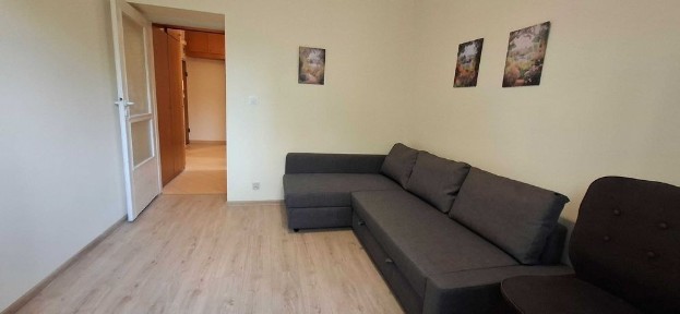 kawalerka dla studenta Nowy Świat/Gałczyńskiego BEZPOŚREDNIO