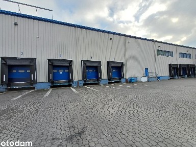 Błonie - magazyn z powierzchnią biurową oraz terenem na rozbudowę!