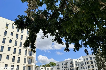 Gotowe na studia | Centrum | Galeria Olimp | Uczelnie | Sklepy | Sport