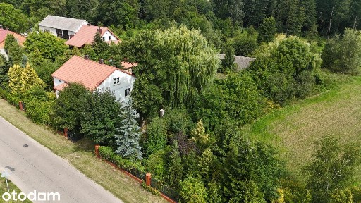 Dom z siedliskiem i działką 6,5 ha / Las / Pole / Media / pod Warszawą