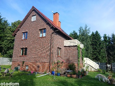 Ekskluzywny 