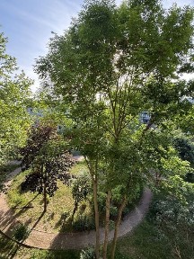 Dwupokojowe 36.6m2