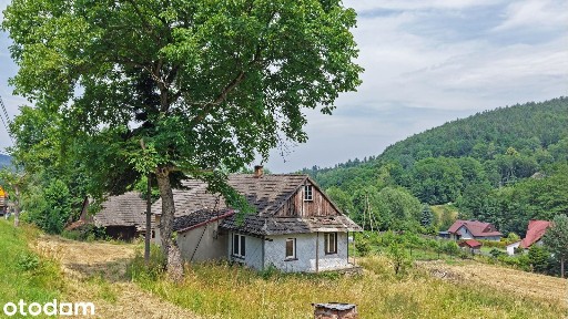 Stary dom, siedlisko wśród gór z działkami aż 60 arów.