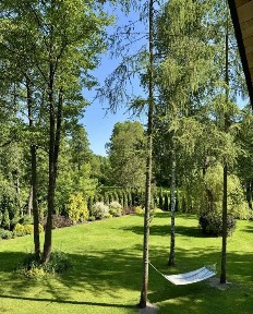 Dom na ogrodzonej szczelnie działce w lesie nad Narwią (2linia)