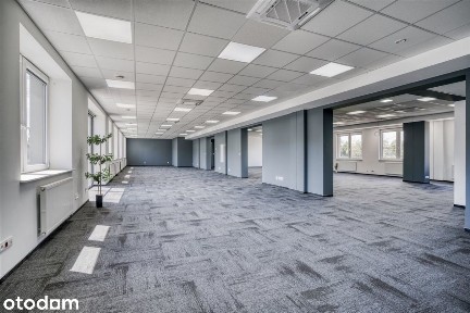 Lokal użytkowy, 293 m², Katowice