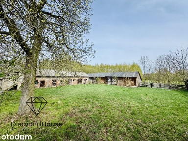 Atrakcyjna działka 3,45 ha z zabudowaniami Żuków.
