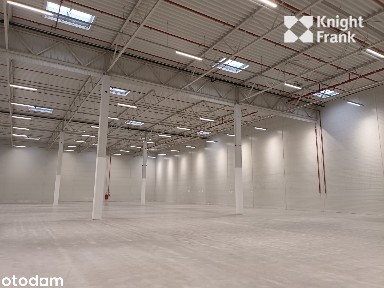 Magazyn do wynajęcia / 3286 m2 + biuro / Błonie