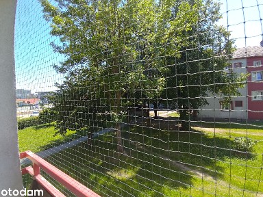 Wyremontowane i słoneczne mieszkanie | 2 pokoje w Bytomiu