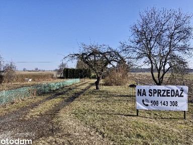 Dom z działką 1,58 ha, sadem i zabudowaniami | Wapno