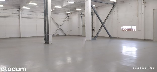 hala, magazyn, hurtownia, usługi, produkcja 540 - 2900