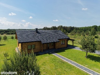 Klimatyczny dom wśród lasów, Dąbrowa