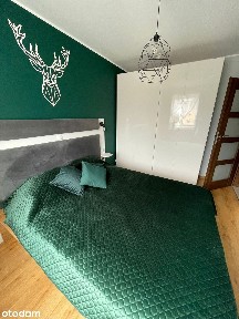 REZERWACJA = 50m2 2-pokojowe mieszkanie z dużym balkonem w Zalasewie