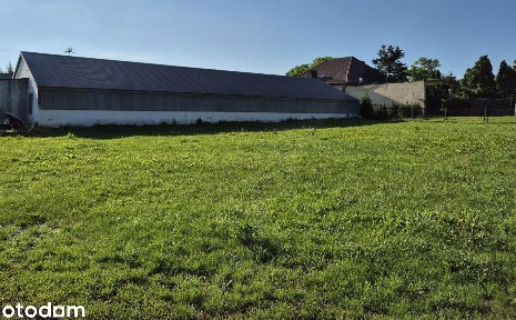 Piotrków Trybunalski, łódzkie