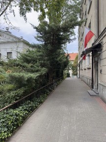 Ciche mieszkanie w centrum Warszawy do wynajęcia