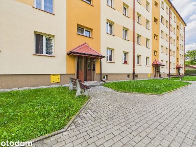 Tarnów Strusina 2 Pokoje 1 Piętro Niski Blok Super Lokalizacja Balkon