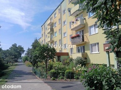 M-3 na parterze 48,45m2 osiedle Bajka w Fordonie.