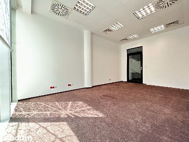 Komfortowy lokal biurowy na wynajem/28m2/vis a vis Ogrodu Botanicznego