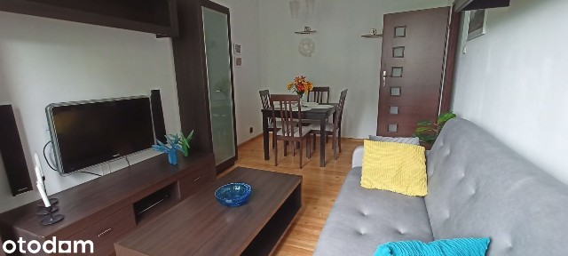 2 pokojowe, centrum, Koszutka, bez prowizji, przytulne, wśród zieleni