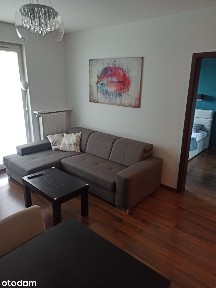 3 pokoje | 56 m² | wysoki standard | Borki | bez pośrednika