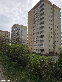 Kawalerka z ładnym widokiem na Pomorzanach!