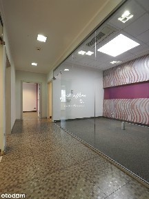 Lokal na wynajem, Wrocław