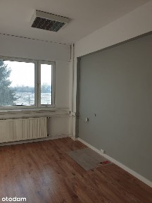 Mikołów, mikołowski, śląskie