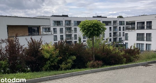 ul. Pyskowicka, Tarnowskie Góry, tarnogórski, śląskie