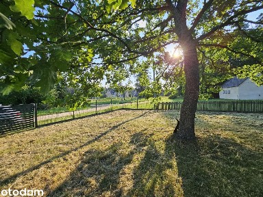 Czerlonka bez SASIADÓW 2533m3, piękny Dworek, Dom, Puszcza Białowieska